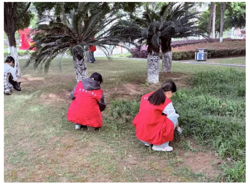 屏幕截图 2025-05-12 231044.png