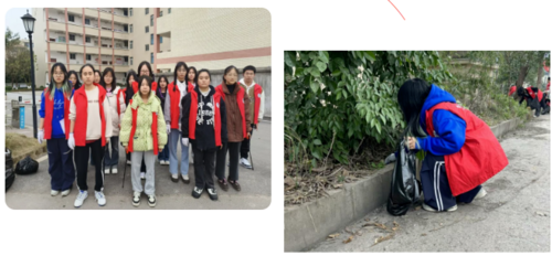 屏幕截图 2025-05-13 114938.png